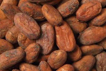 Fèves de cacao naturelles - Cameroun / prix 100 Gr