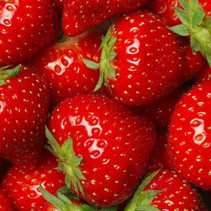 FRAISE / Prix 500 grammes