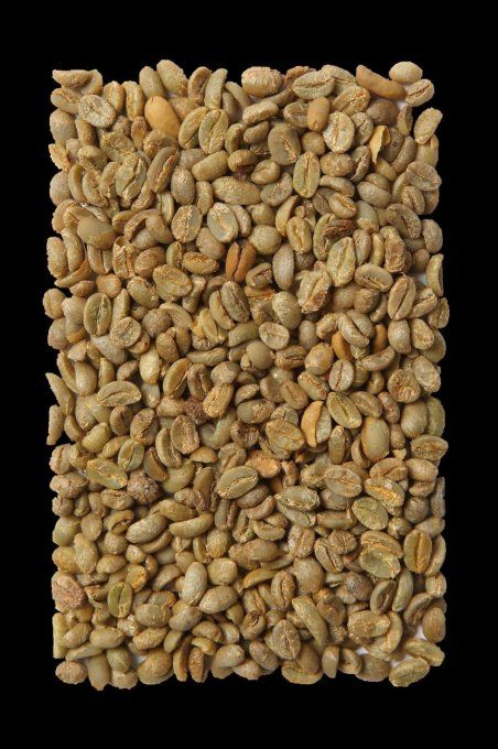 Café vert Arabica de spécialité - Cameroun / Prix de 250G