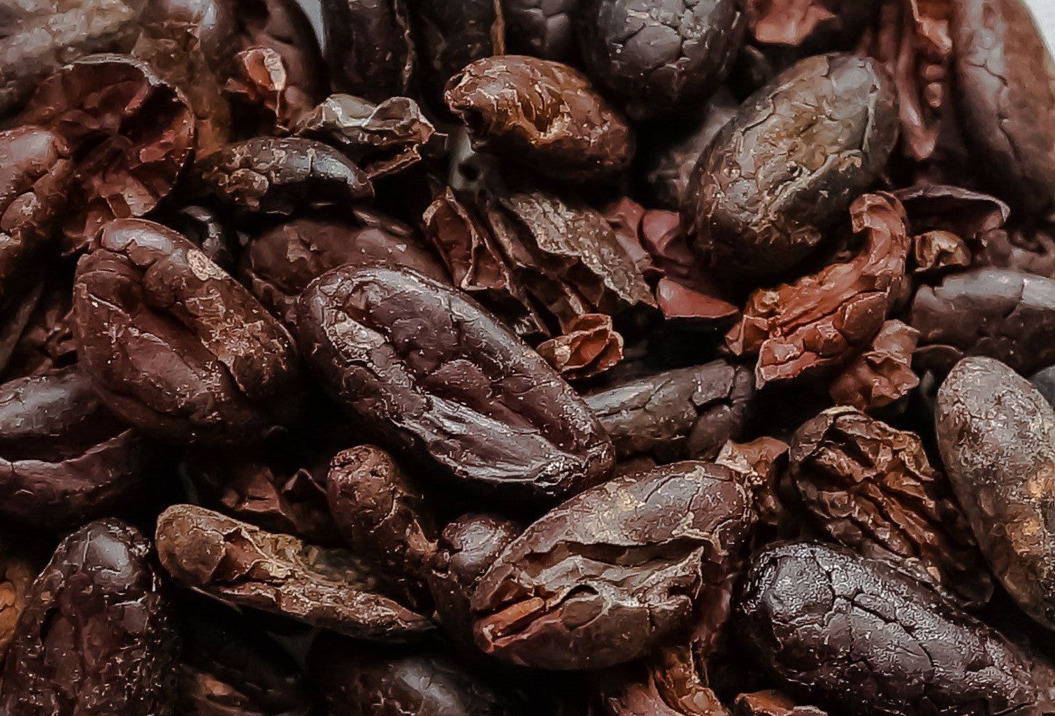 Fèves de cacao, classique des amateurs de cacao